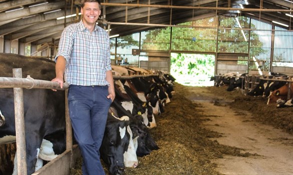a man standing next to a group of cows in a barn
